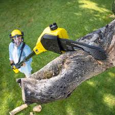 Best Aeration Services  in Bethel, WA