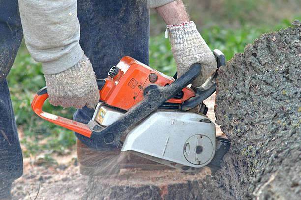 Landscape Design and Installation in Bethel, WA